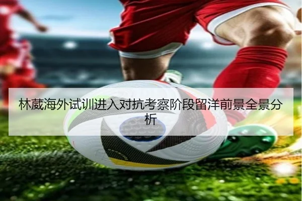 林葳海外试训进入对抗考察阶段留洋前景全景分析
